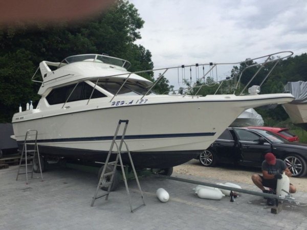 Bayliner 288 Fly · 2005 · Almanya