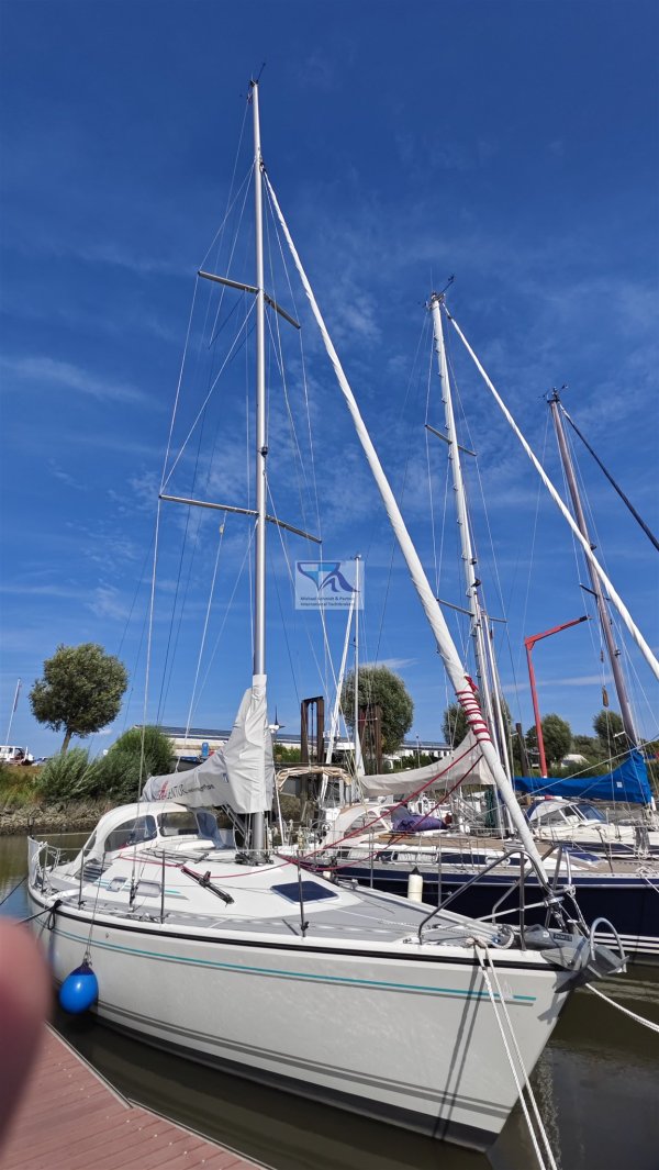 Dehler 36 Match Race · 1991 · Almanya