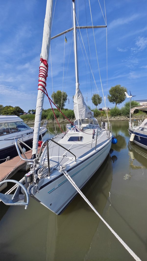 Dehler 36 Match Race · 1991 · Almanya
