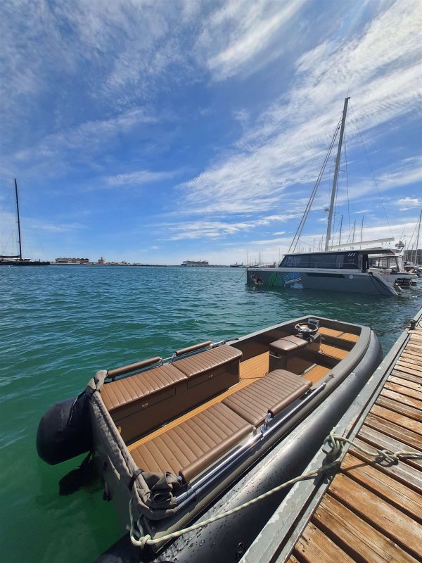Yachtwerft Hamburg Ribcat 4.3 · 2022 · Almanya