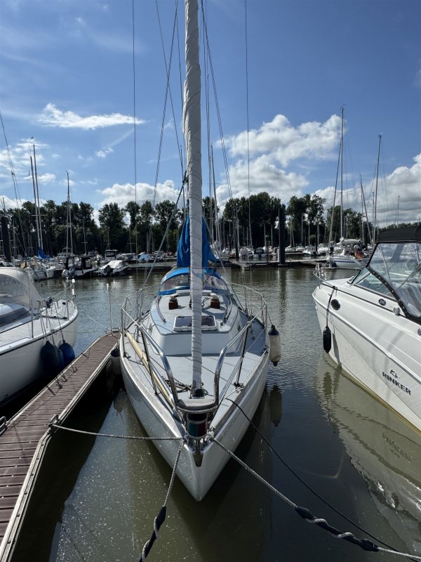 Aquafibre S & S 30 · 1970 · Almanya