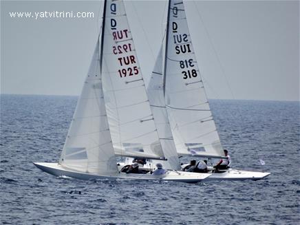 Özel Yapım Dragon Petticrows · 2011 · Muğla