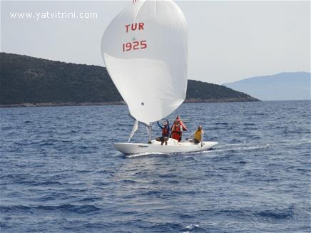 Özel Yapım Dragon Petticrows · 2011 · Muğla